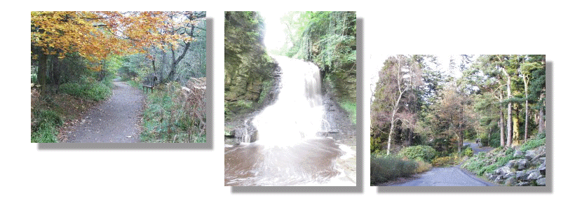 Images of countryside and walks close to the The Reading Rooms bed and breakfast in Northumberland